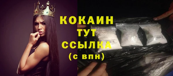 стафф Михайлов
