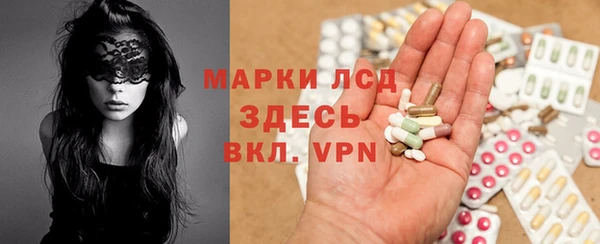 прущие грибы Абинск