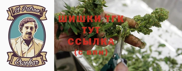 стафф Михайлов