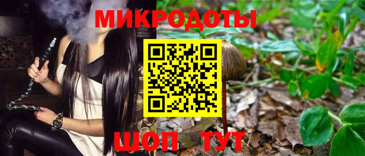 Галлюциногенные грибы Psilocybine cubensis Кисловодск