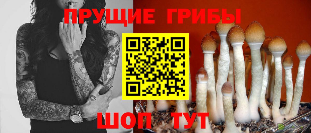 Галлюциногенные грибы ЛСД  Вход с VPN  Кисловодск 